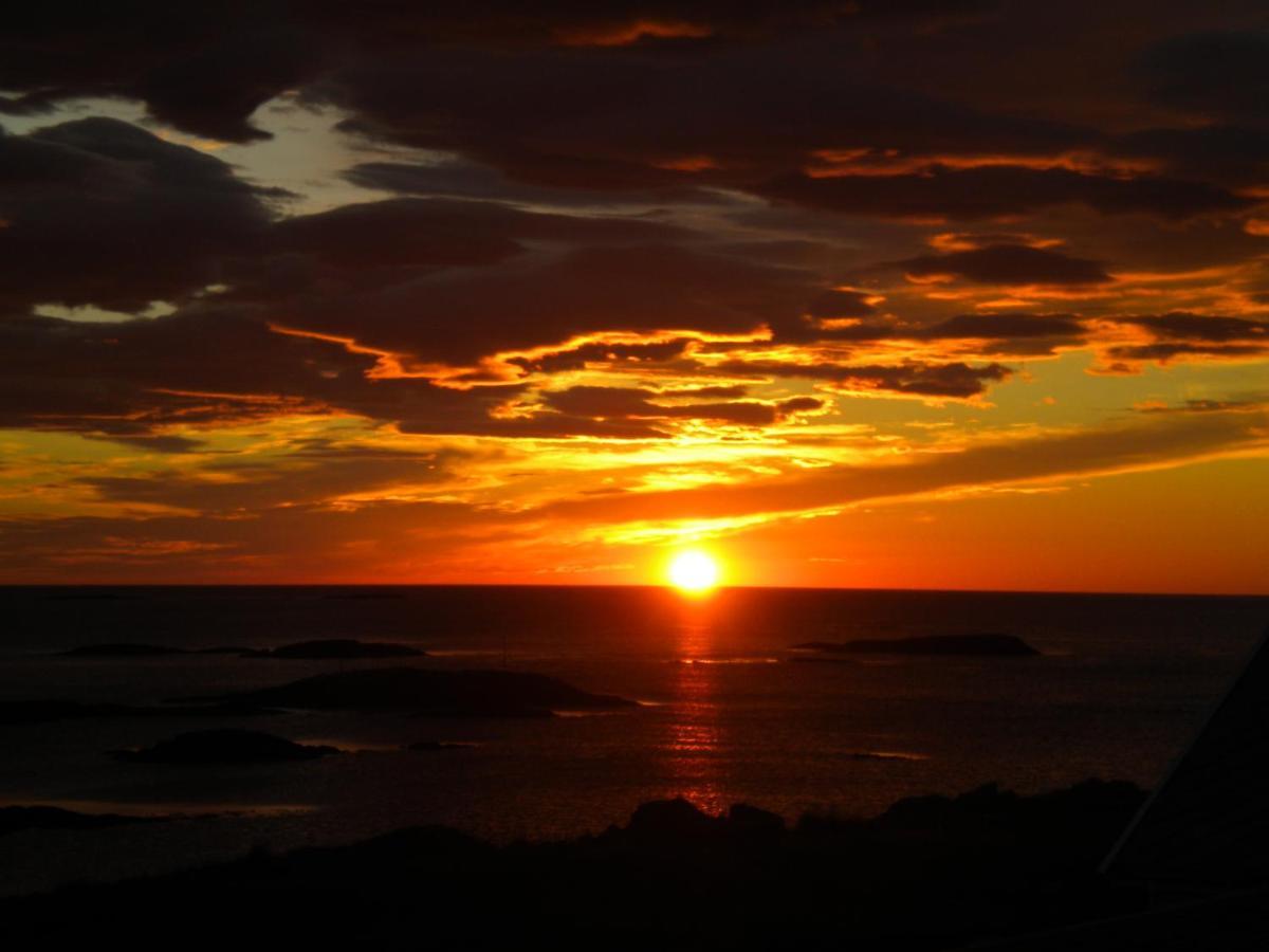 Apt 101 - Andenes Whale Safari Apartments エクステリア 写真